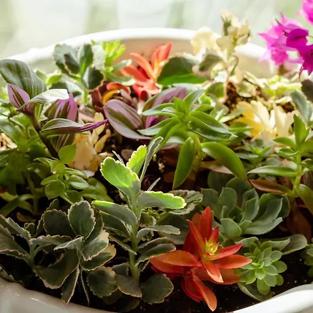 Hotel Artis Blue Relax Himara