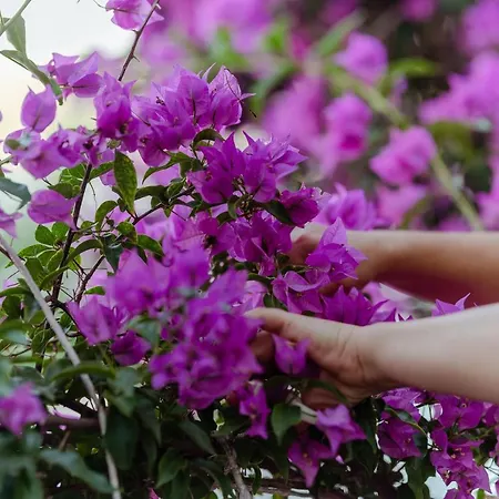 Artis Blue Relax Hotel