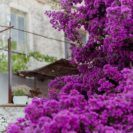 Artis Blue Relax 酒店 4*