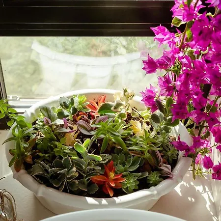 Artis Blue Relax Szálloda 4*