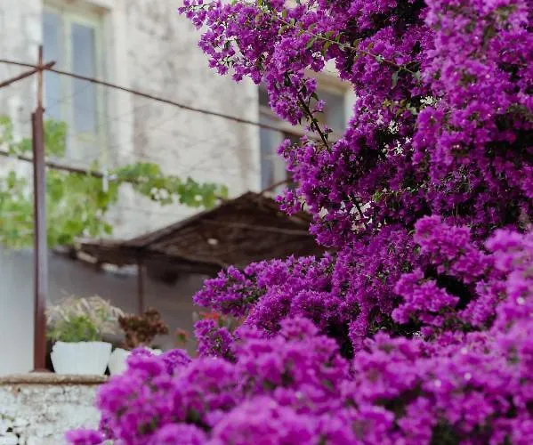 Artis Blue Relax Hotel 4*