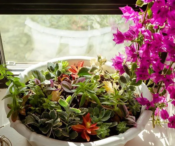 Artis Blue Relax Hotel 4*